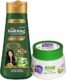 BoroPlus Soft Ayurvedic Antiseptic Cream 50gm (Free Kesh King Shampoo 30ml)
