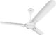 Hindware Smart Appliances Ventus White Silver 1200MM ceiling Fan