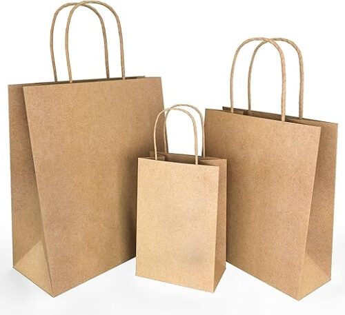 Premium Brown Kraft Paper Bags with Twisted Paper Rope Handles Medium Gift Bags